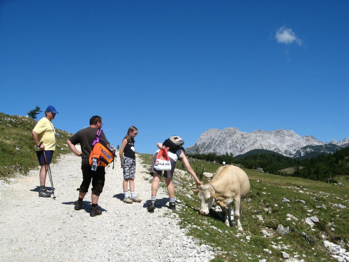 Alpine Chalet Velika Planina - Irenca - I Feel Alps Stahovica Buitenkant foto